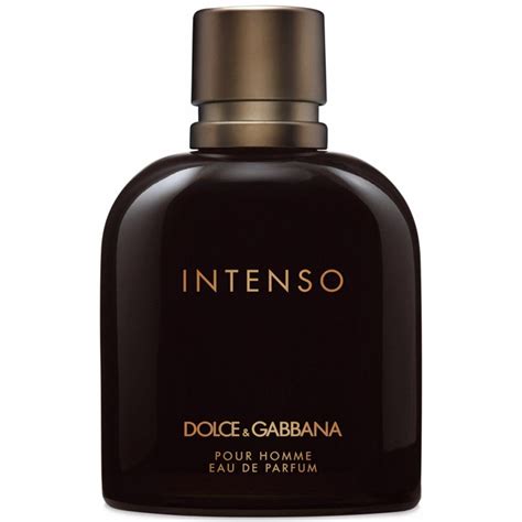 dolce gabbana homme 125 ml|dolce and gabbana intenso notes.